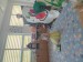 IMG_20260604_104301